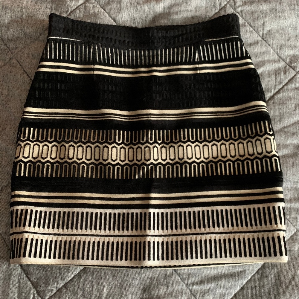 Proenza Schouler Jacquard Velvet Mini Skirt